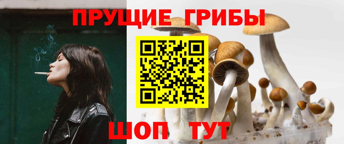 Псилоцибиновые грибы мухоморы  Псилоцибиновые грибы Psilocybine cubensis  Ачхой-Мартан  Вход с VPN 